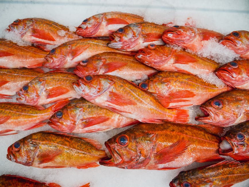 How to Choose the Freshest Fish at Your Local Market